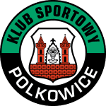 غرونيك بولكوفيتسى